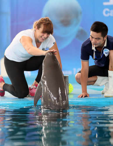 一场关键比 一场关键比