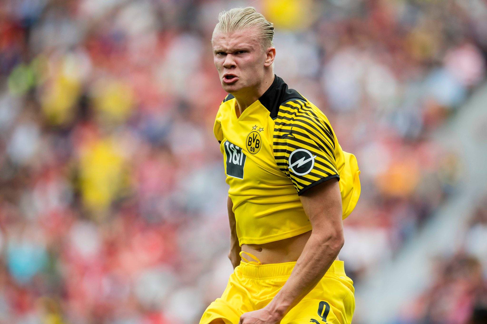 在经济分配 在经济分配