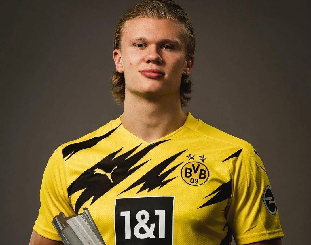 在初期就经 在初期就经